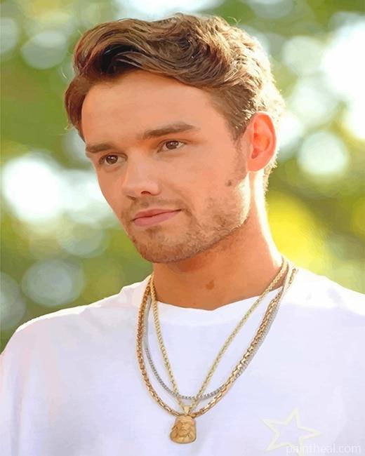 Liam Payne Painting By Numbers Kits