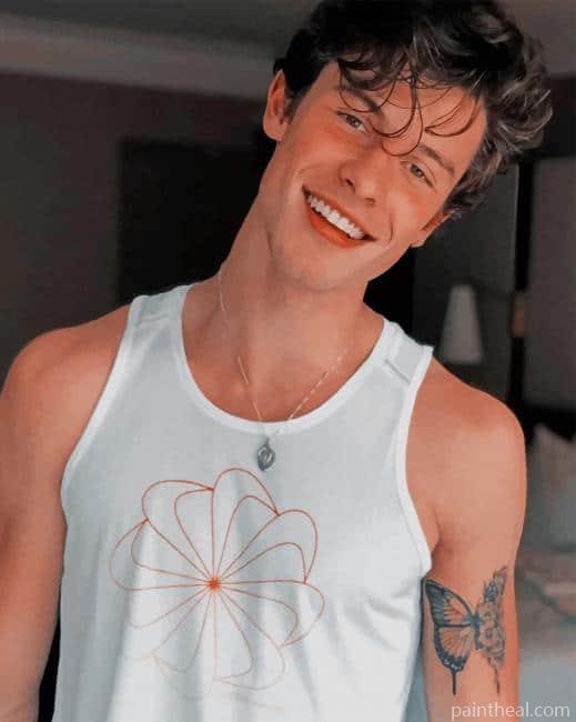 Shawn Mendes Painting By Numbers Kits