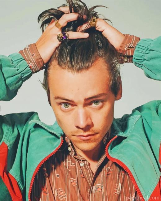 Stylish Harry Styles Painting By Numbers Kits