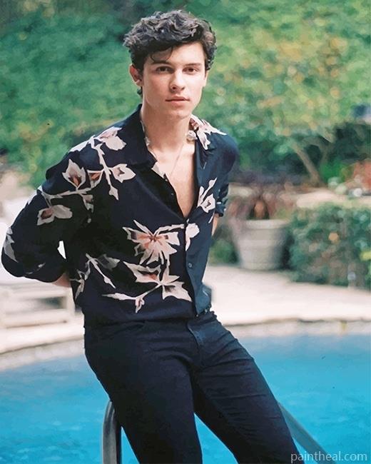 Classy Shawn Mendes Painting By Numbers Kits