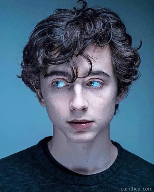 The young Actor Timothée Chalamet Painting By Numbers Kits