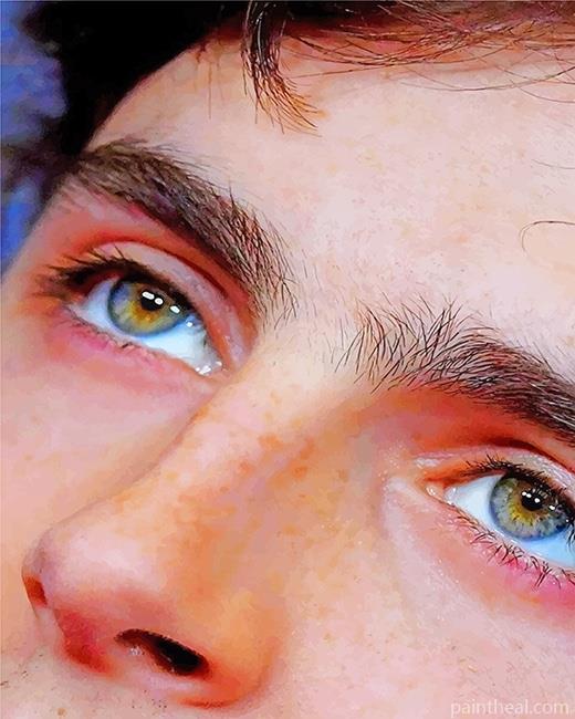 Timothee Chalamet Eyes Painting By Numbers Kits