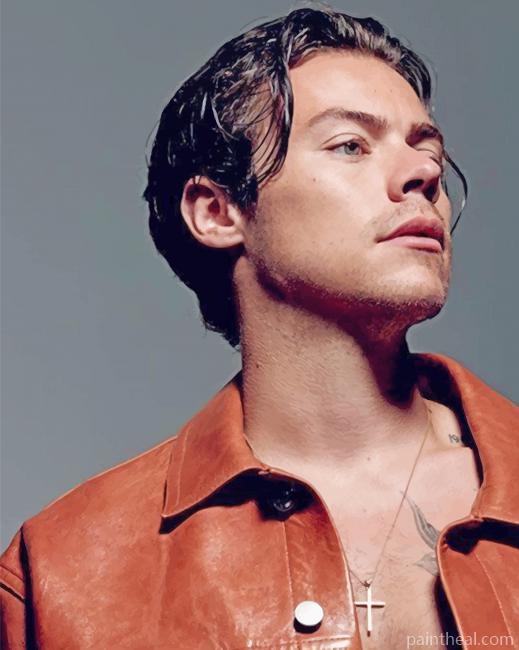 Harry Styles Shooting Painting By Numbers Kits