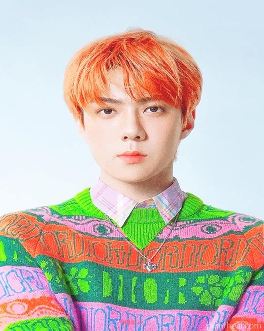 Orange Hair Oh Sehun Painting By Numbers Kits