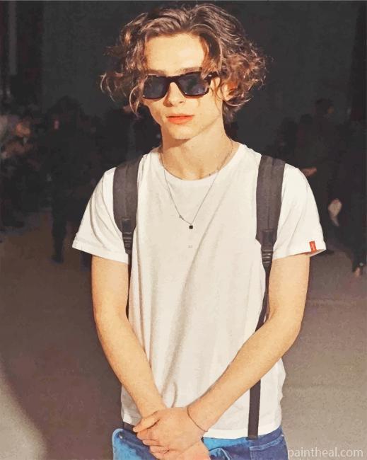 Cool timothée Chalamet Painting By Numbers Kits