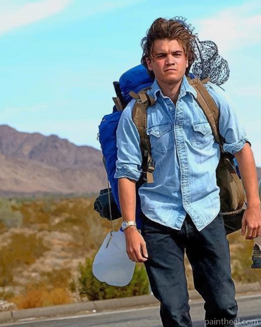 Emile Hirsch Into The Wild Painting By Numbers Kits