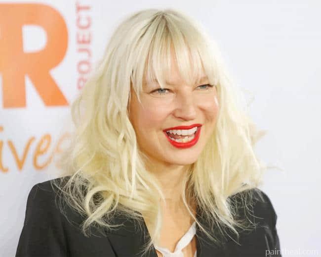 The Singer Sia Painting By Numbers Kits