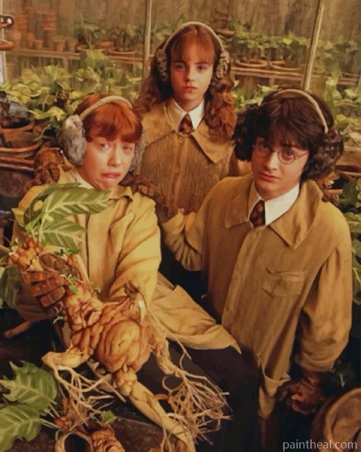 Golden Trio Chamber Of Secrets Painting By Numbers Kits