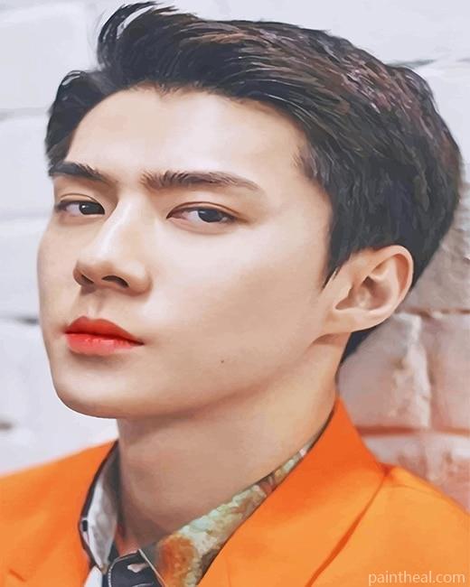 Sehun EXO Band Painting By Numbers Kits