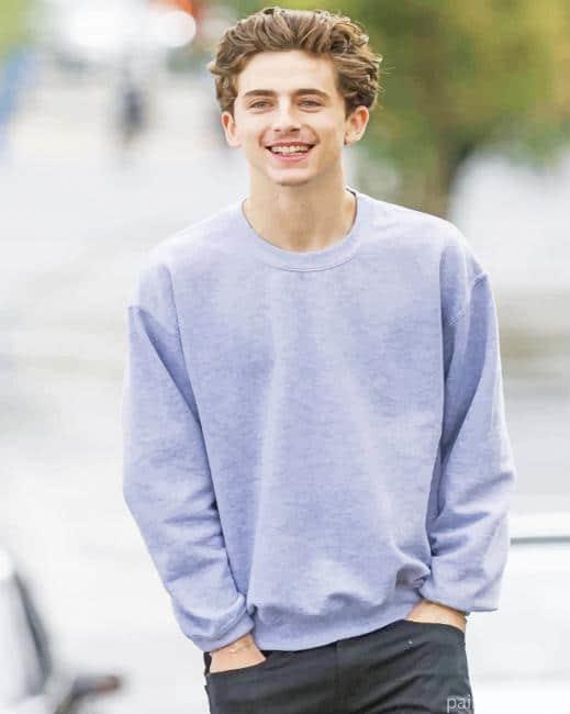 Timothée Chalamet Wearing Grey Painting By Numbers Kits