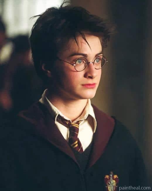 Harry James Potter Painting By Numbers Kits