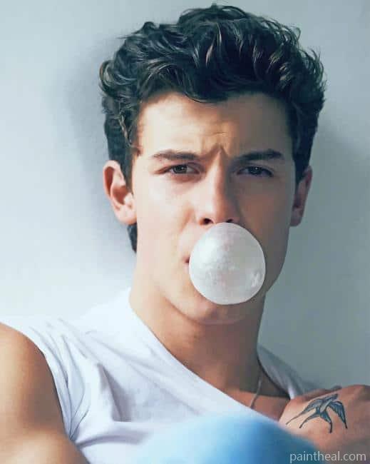 Shawn Mendes Bubble Gum Painting By Numbers Kits