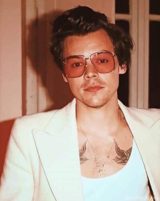Harry styles Wearing Glasses Painting By Numbers Kits