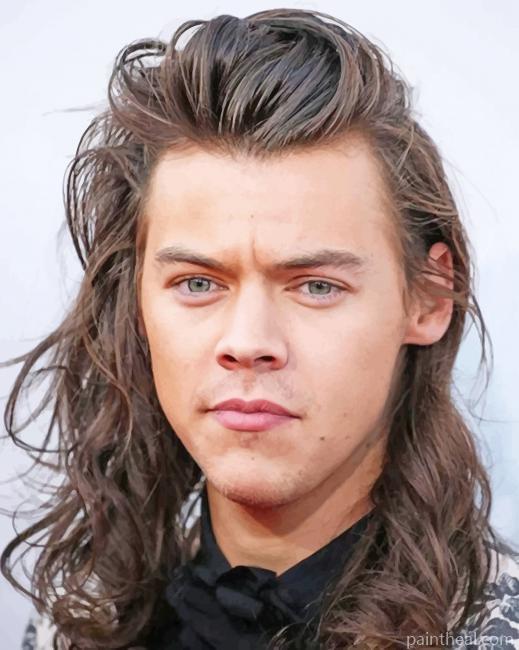 Handsome Harry Styles Painting By Numbers Kits