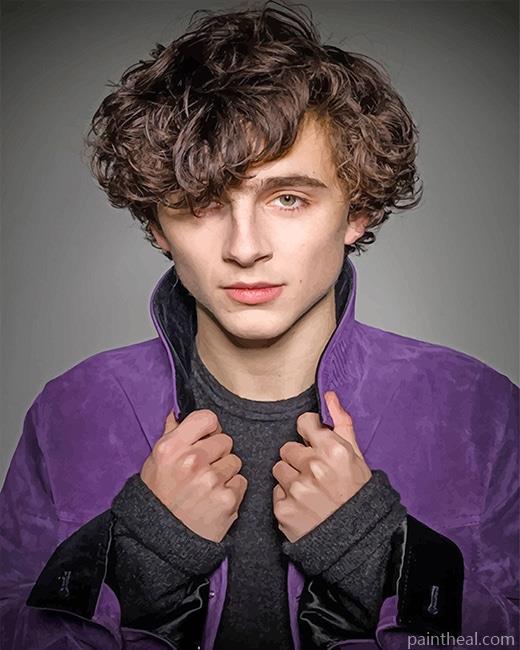 Timothee Hal Chalamet Painting By Numbers Kits