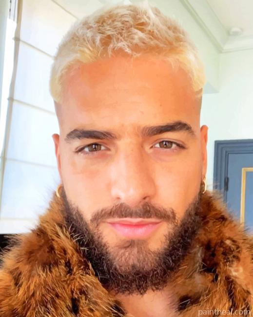 The Handsome Maluma Painting By Numbers Kits