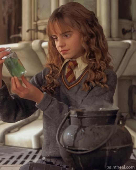 Harry Potter Hermione Painting By Numbers Kits