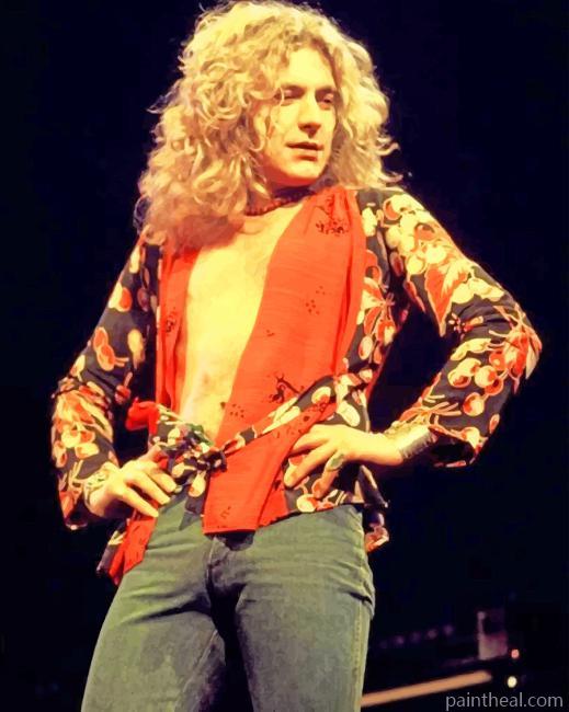 Robert Plant Singing Painting By Numbers Kits