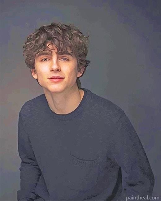 Timothee Chalamet Actor Painting By Numbers Kits