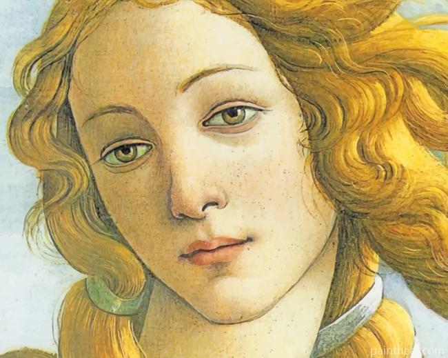Birth Of Venus Botticelli Painting By Numbers Kits