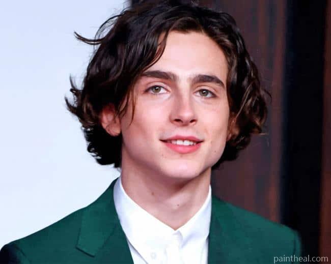 Timothee Chalamet With Green Suit Painting By Numbers Kits