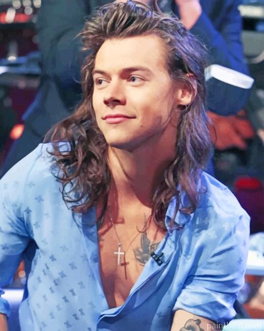 Harry With Long Hair Painting By Numbers Kits
