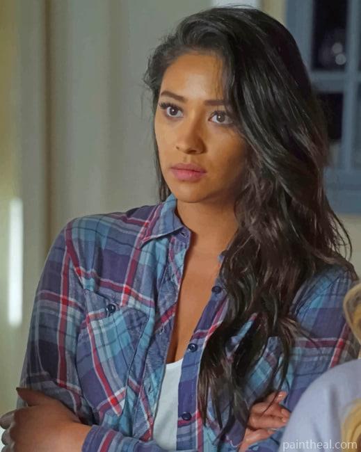 Emily Fields Painting By Numbers Kits