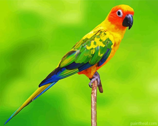 Conure Bird Painting By Numbers Kits