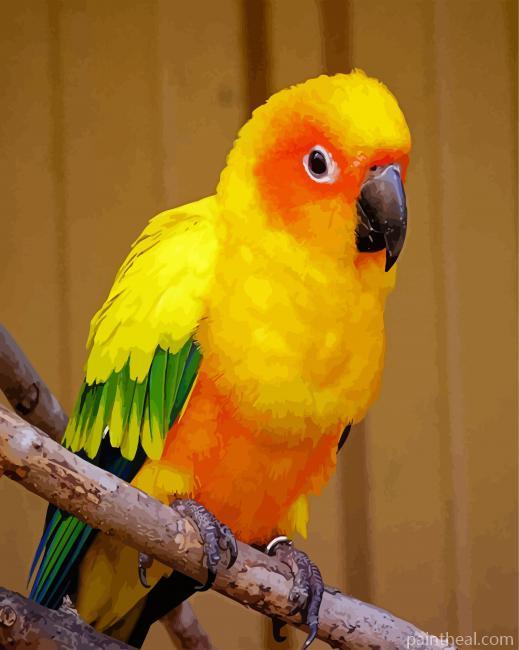 Yellow Conure Bird Painting By Numbers Kits
