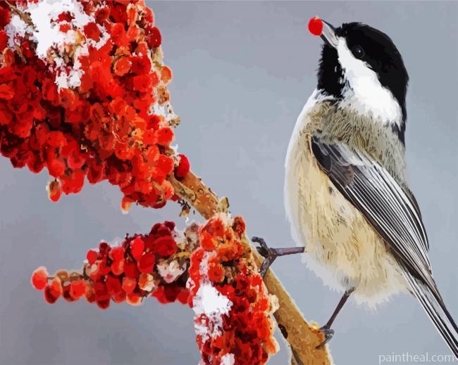Chickadee Bird Eating Painting By Numbers Kits