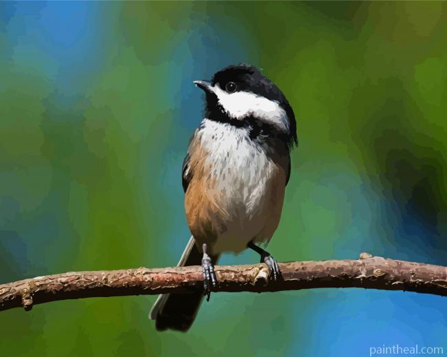 Cute Chickadee Bird Painting By Numbers Kits