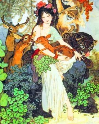Asian Woman And Stag Painting By Numbers Kits