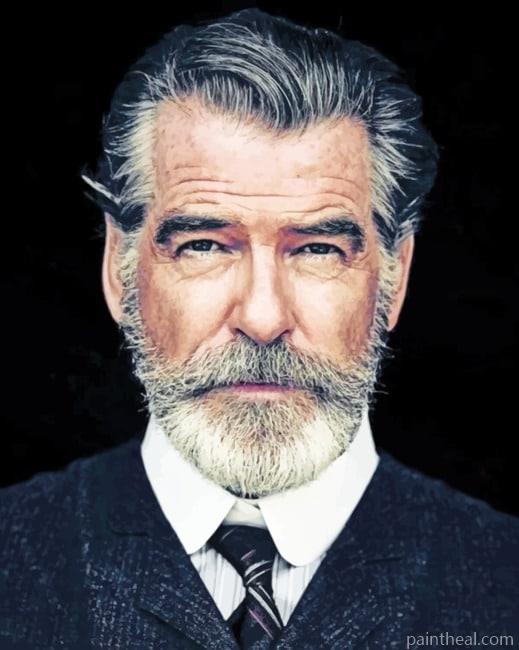 Pierce Brosnan Painting By Numbers Kits