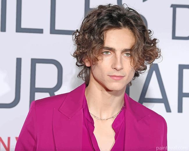 Handsome Chalamet Painting By Numbers Kits