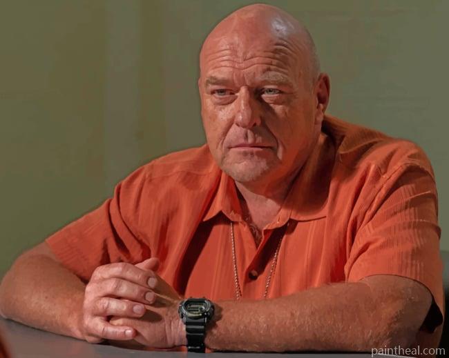 Hank Schrader Character Painting By Numbers Kits