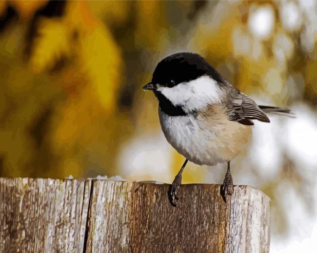 Black And White Chickadee Painting By Numbers Kits