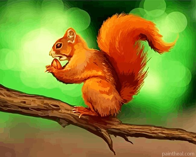 Squirrel On The Tree Painting By Numbers Kits
