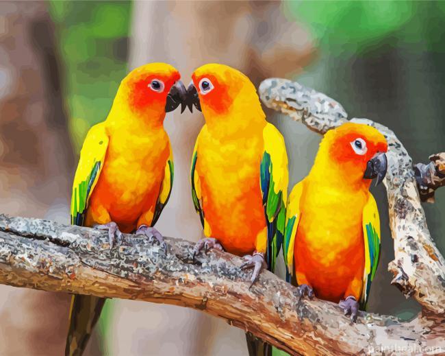 Conure Birds Painting By Numbers Kits