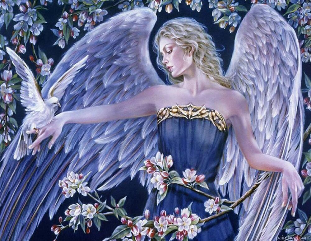 Angel and Dove People Painting By Numbers Kits