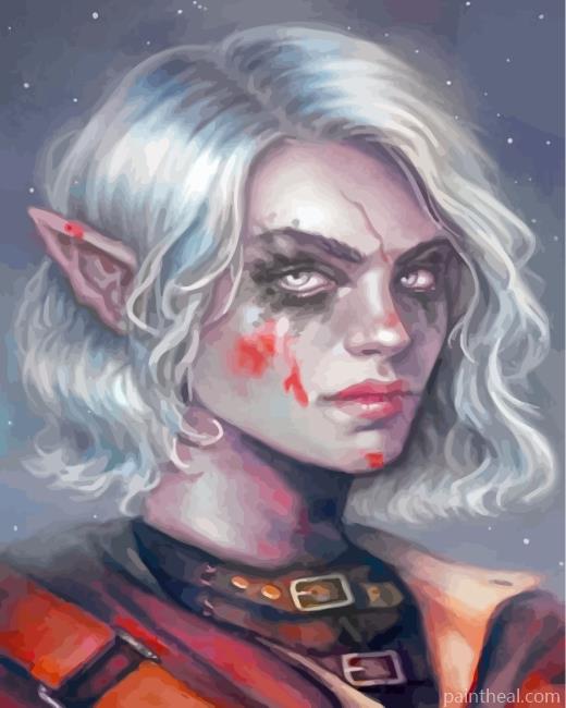 Elf Woman Painting By Numbers Kits