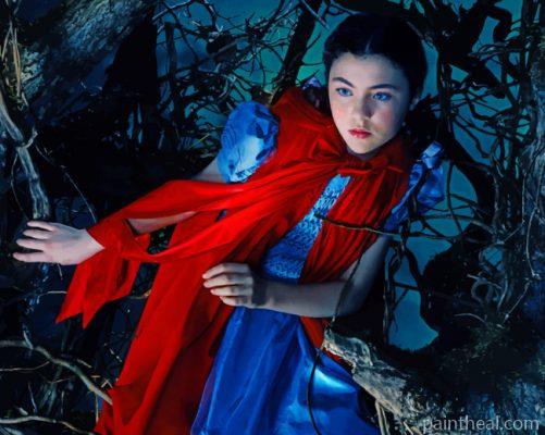 Red Riding Hood Painting By Numbers Kits