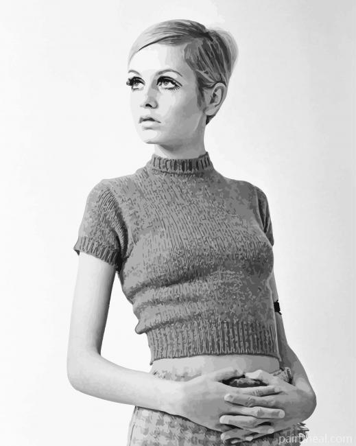 Twiggy Supermodel Painting By Numbers Kits