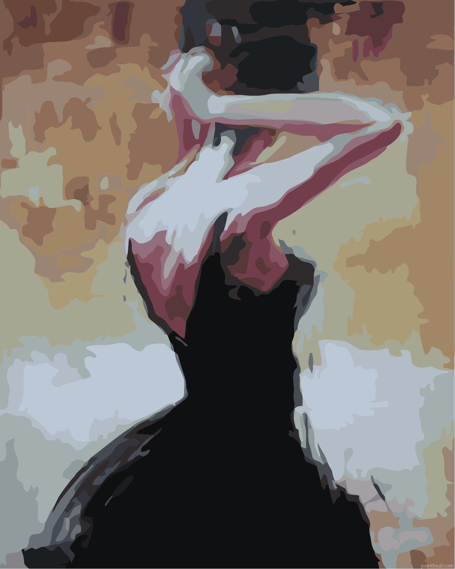 Woman In Black Dress Painting By Numbers Kits