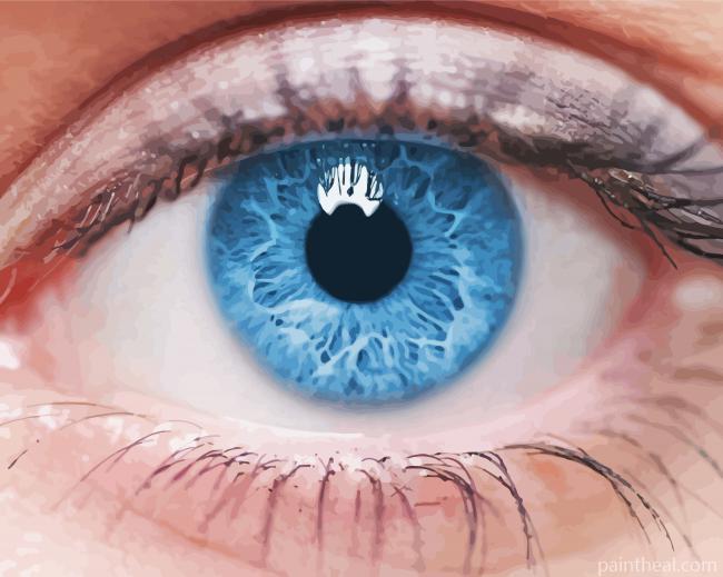 Blue Eyes Woman Painting By Numbers Kits