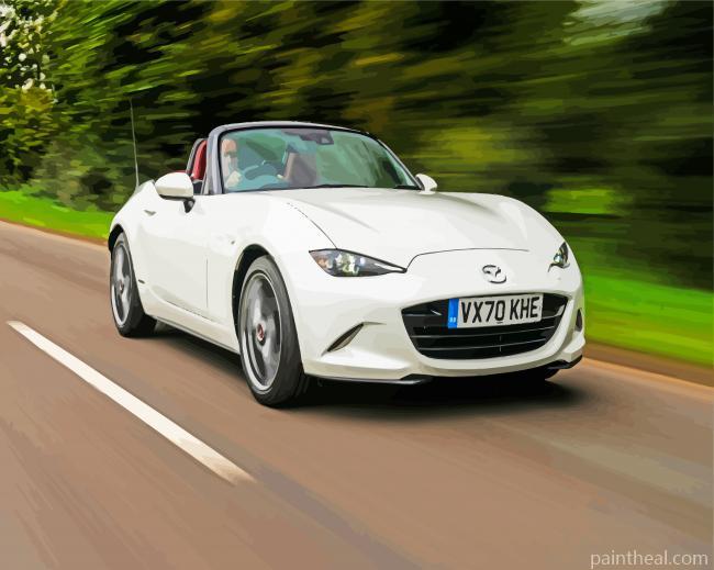 White Mx5 Painting By Numbers Kits
