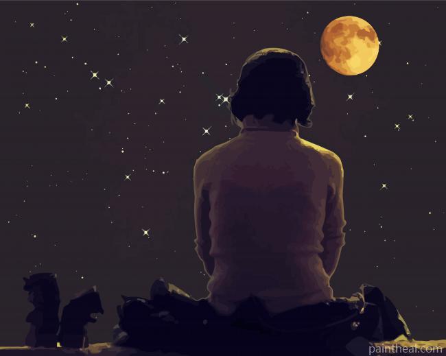 Lady Looking At The Moon Painting By Numbers Kits