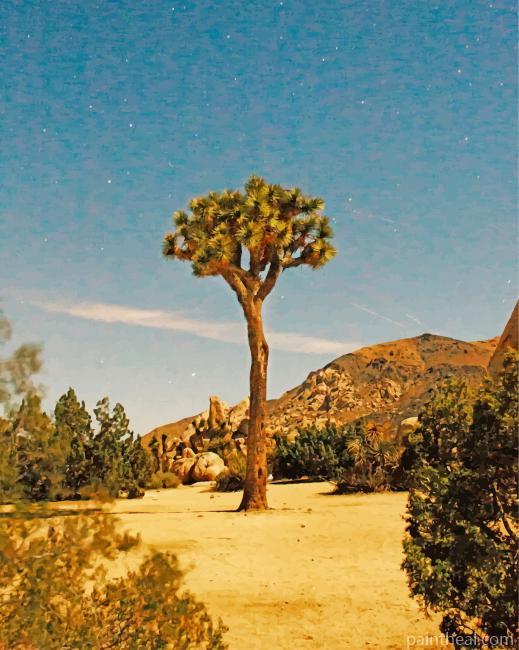 Aesthetic Joshua Trees Painting By Numbers Kits