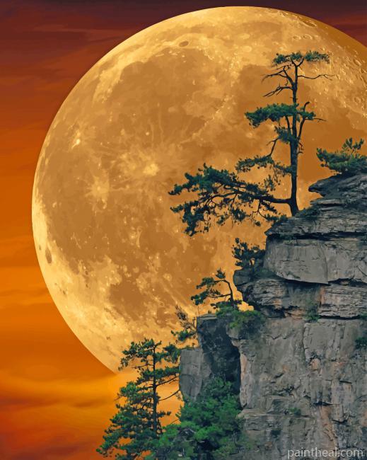 Moon Light Painting By Numbers Kits