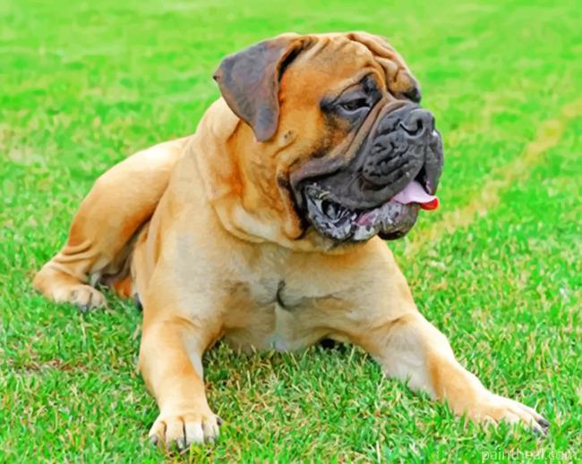 Bull Mastiff Painting By Numbers Kits