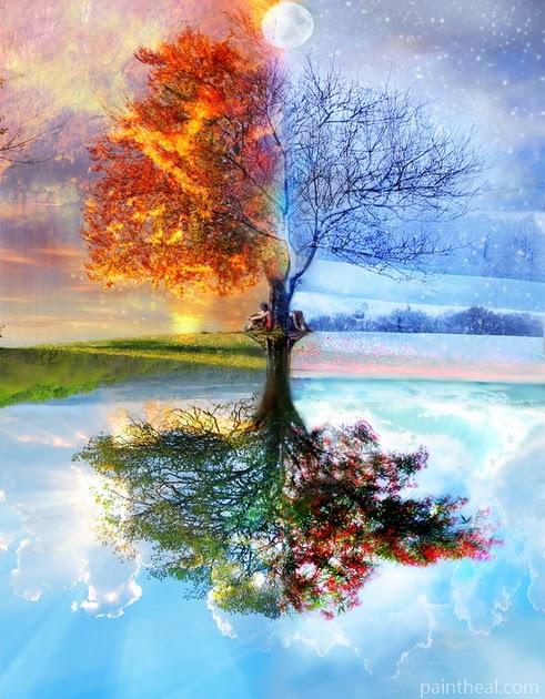 Tree Through the Seasons Painting By Numbers Kits